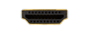 HDMI Male