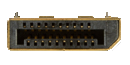 DisplayPort Male